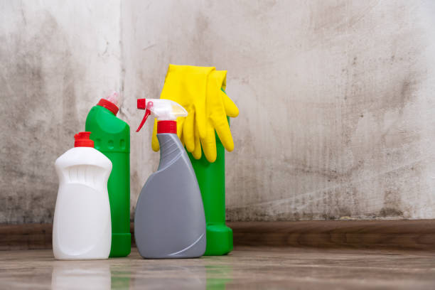 Reliable Soledad, CA Mold Removal Solutions